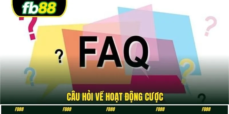 Câu hỏi về hoạt động cược