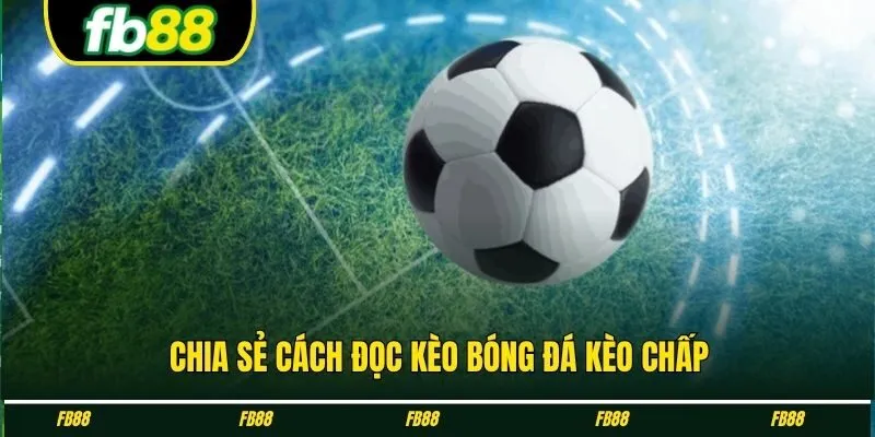 Chia sẻ cách đọc kèo bóng đá kèo chấp