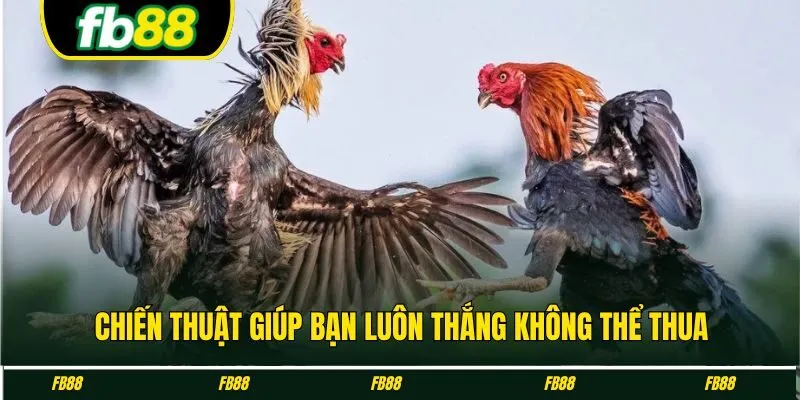 Chiến thuật giúp bạn luôn thắng không thể thua