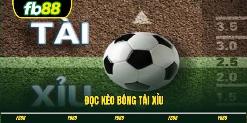 Đọc kèo bóng tài xỉu