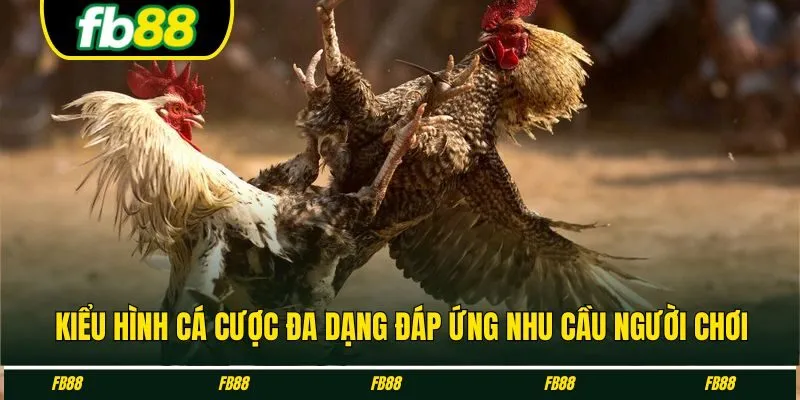 Kiểu hình cá cược đa dạng đáp ứng nhu cầu người chơi