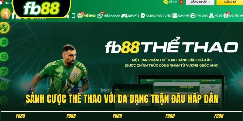 Sảnh cược thể thao với đa dạng trận đấu hấp dẫn