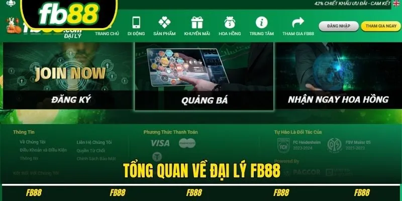 Tổng quan về đại lý FB88