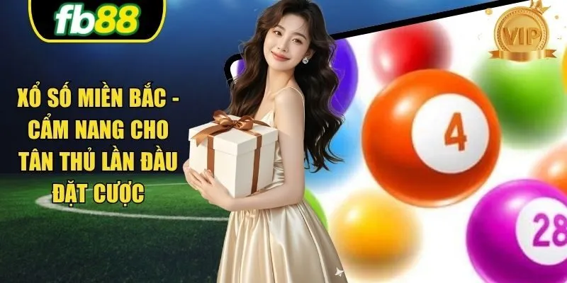 Xổ Số Miền Bắc - Cẩm Nang Cho Tân Thủ Lần Đầu Đặt Cược